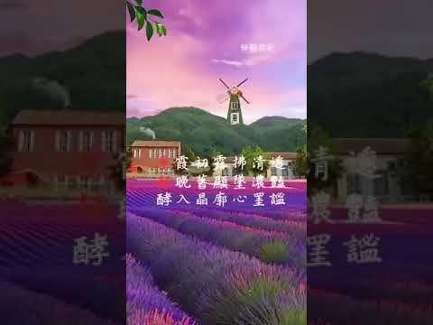 臉部保養/痘痘問題/Acne/改善肌膚/台中美容/06淨顏課程 #做臉#清粉刺
