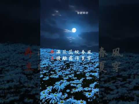 再生臉部保養，台中西區，一個專屬臉部保養的地方