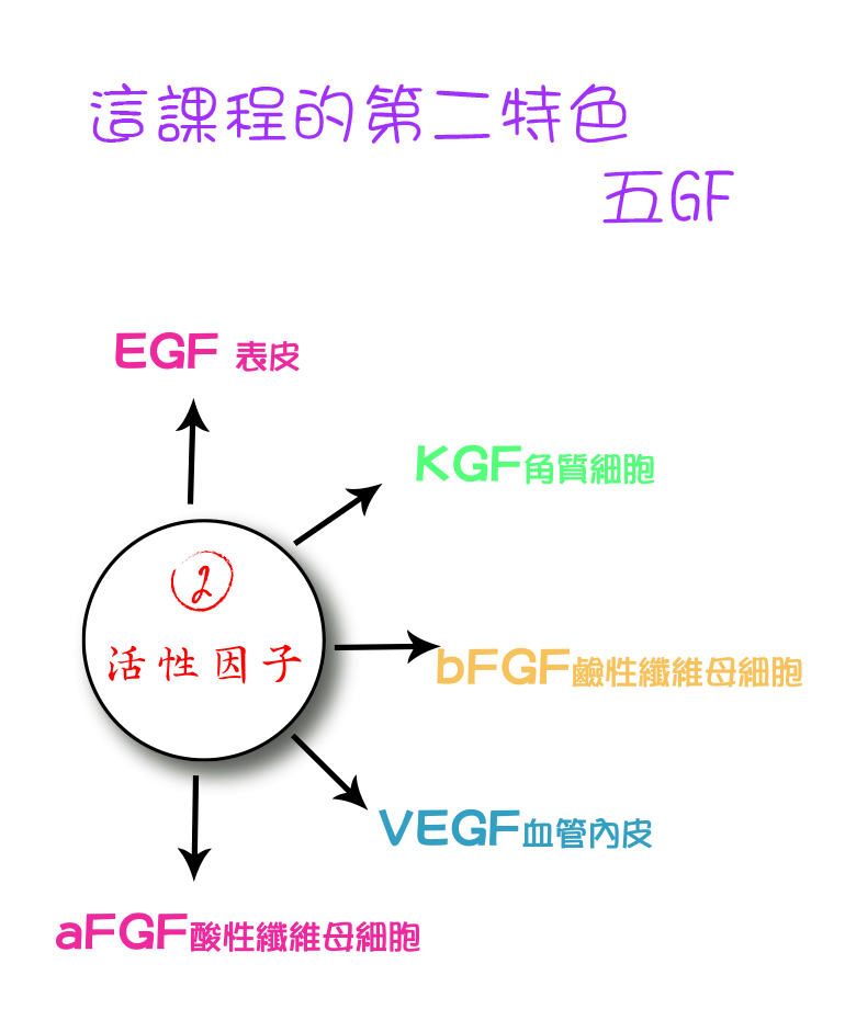 5GF再生,生長因子