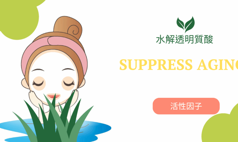 透明質酸是玻尿酸活性因子研究