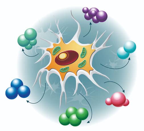 免疫細胞與活性分子示意圖,象徵皮膚修復與細胞活化機制