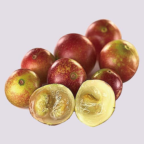 卡姆果Camu Camu 巴西莓果實照片,富含維他命C與抗氧化成分,用於美白與抗老配方