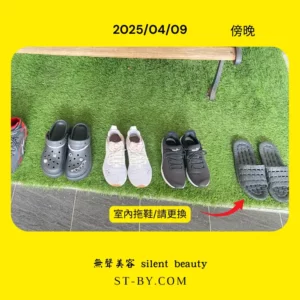 2025 04 09 three style lined