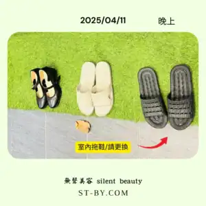 2025 04 11 evening pure slippers