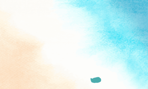 compressed 12 moisturizing