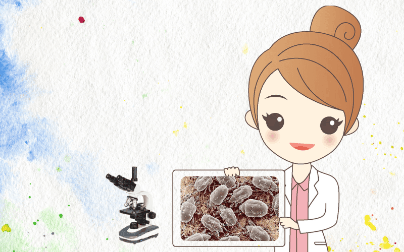 Free mite inspection.